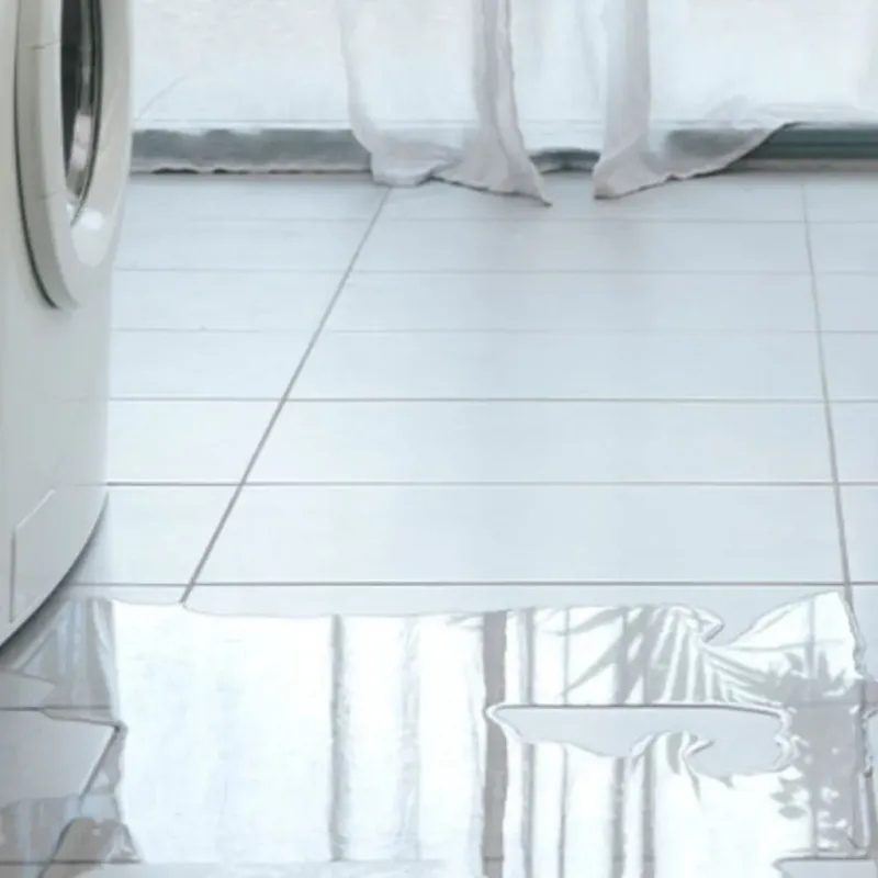 Appliance Leak Cleanup in Marion, TX