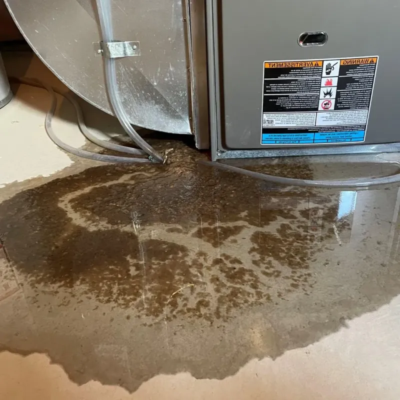 Pipe Burst and Leak Restoration in Marion, TX