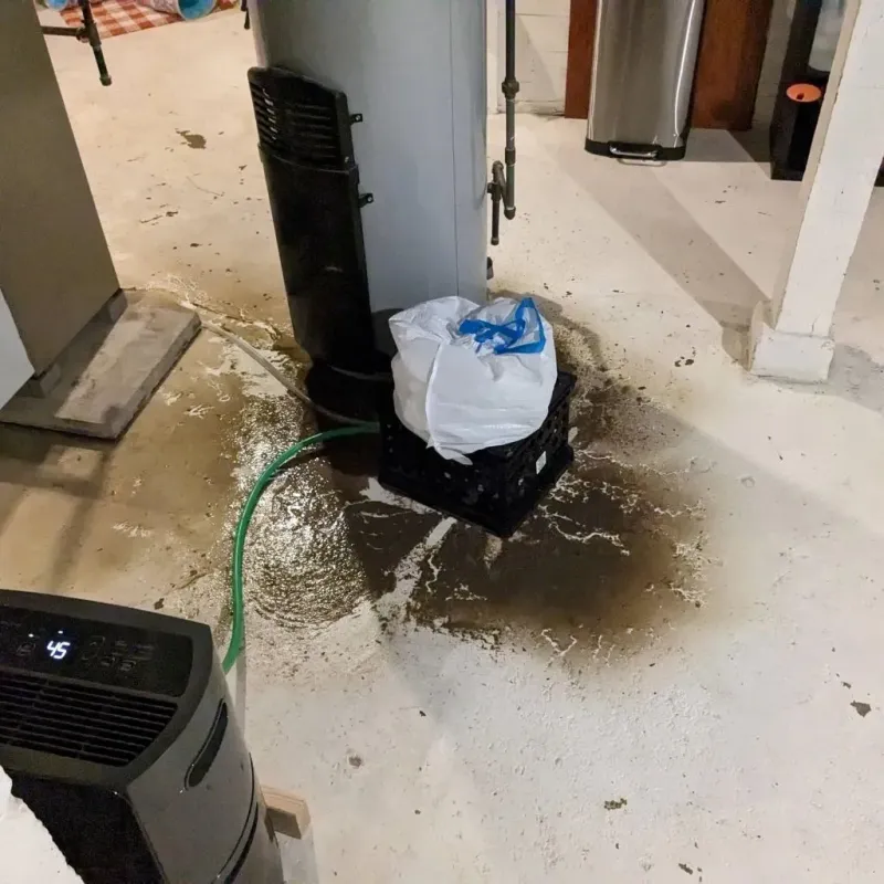 Sewage Backup Cleanup Service in Marion, TX